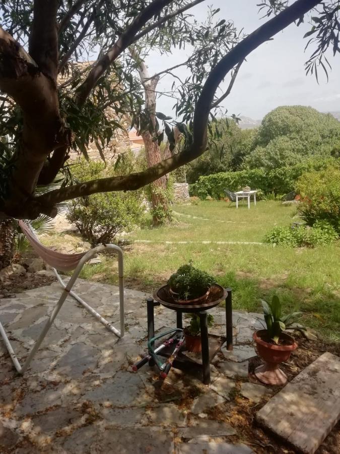 Bed and Breakfast Sa Domo De Afra Стинтино Экстерьер фото