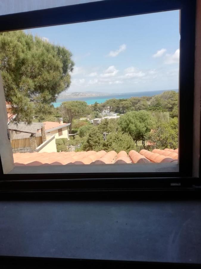 Bed and Breakfast Sa Domo De Afra Стинтино Экстерьер фото
